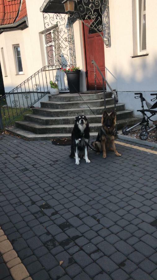 Agnieszkas Pension Havelberg Bagian luar foto